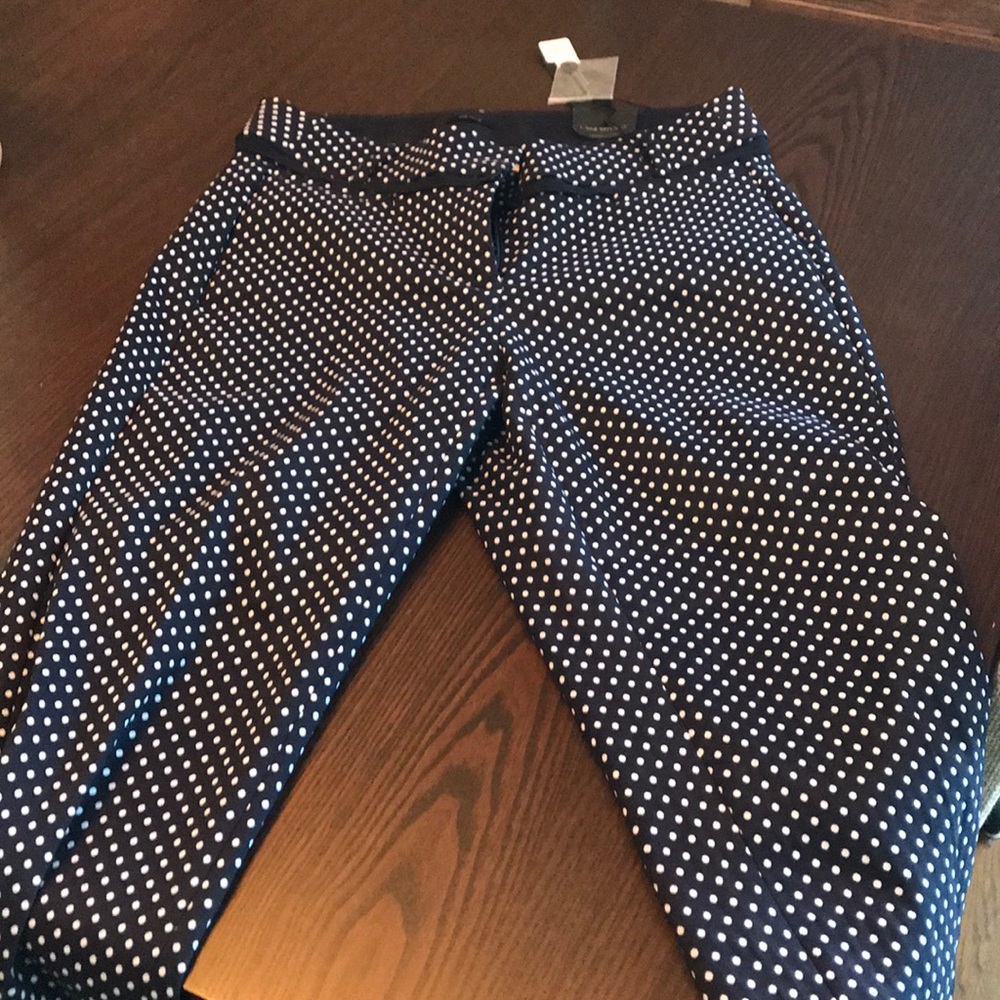 Lane Bryant Navy Polka Dot Allie Sexy Stretch Pant